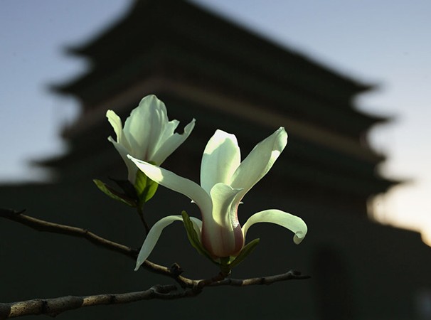 �����L(f��ng)���D