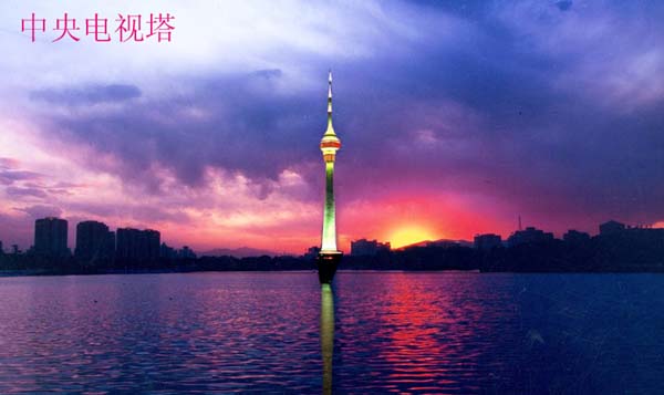 ����V���ҕ���L���D